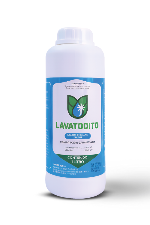 LAVATODITO
