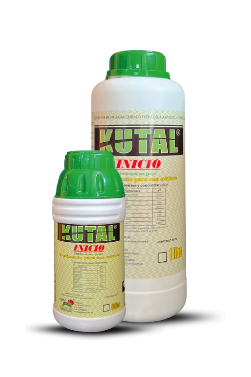 KUTAL INICIO