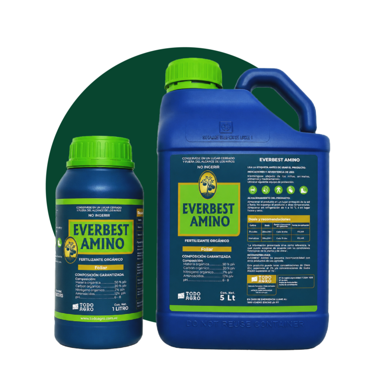 EVERBEST AMINO