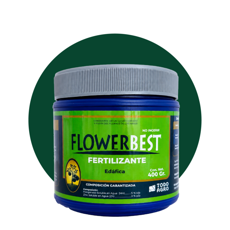 FLOWER BEST
